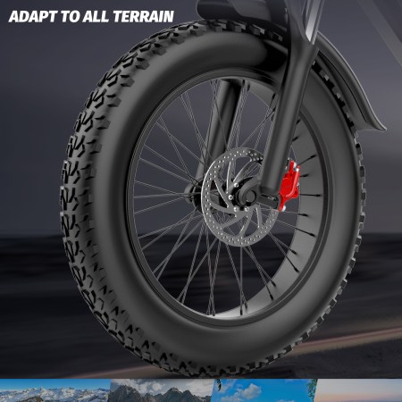 Canada free shipping Ridstar Q20 Pro Dual Battery 40ah Electric Bicycle  E-Bike 2000W Electric Dirt Bike Hydraulic Disc Bicycle Electric City Bike - Image 5