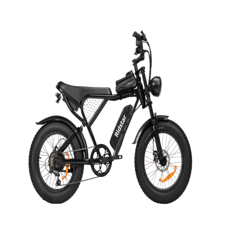 Canada Hot Sale Ridstar Q20 Fast Electric Bicycle Mountain Fatbike Electric Bike Dual Motor 750W Ebike Electr Bike Price