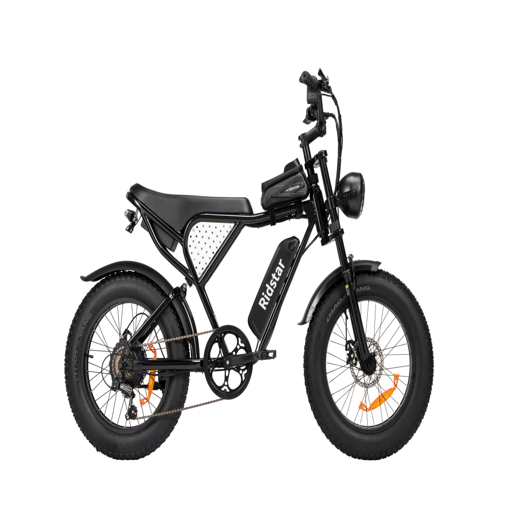Chinese factory ships without free shipping to Newzland 20-Inch Mountain E-Bike for Adults Warehouse
