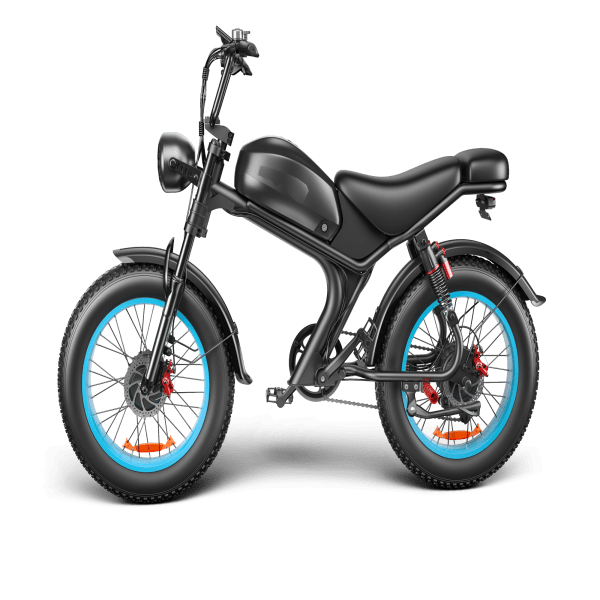 C93 20Inch Electric Bicycle with 48V 23Ah Dual Rear Hub Motor High Quality 2000W E Bike for EU  Delivery