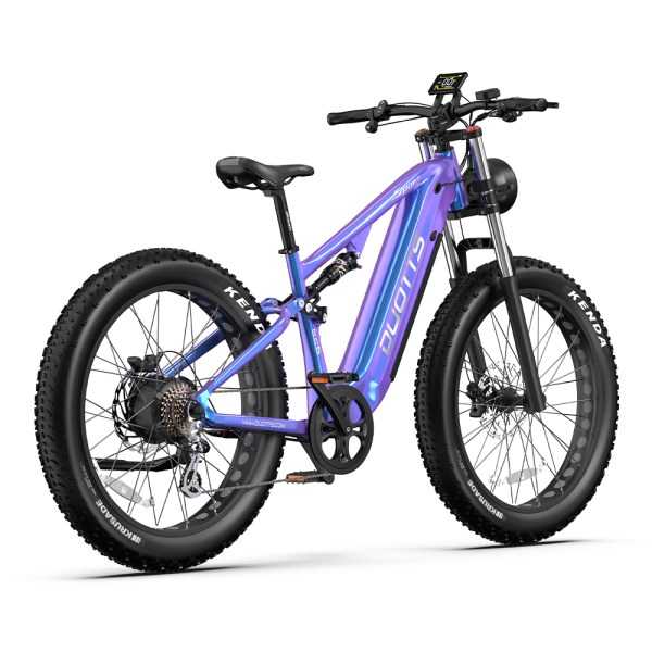High quality 48V 20AH Samsung Lithium Battery electric bicycle Fast Fat Tire Electric Bike 750W bafang motor EBike Adults Mountain Bike with Hydraulic disc braje