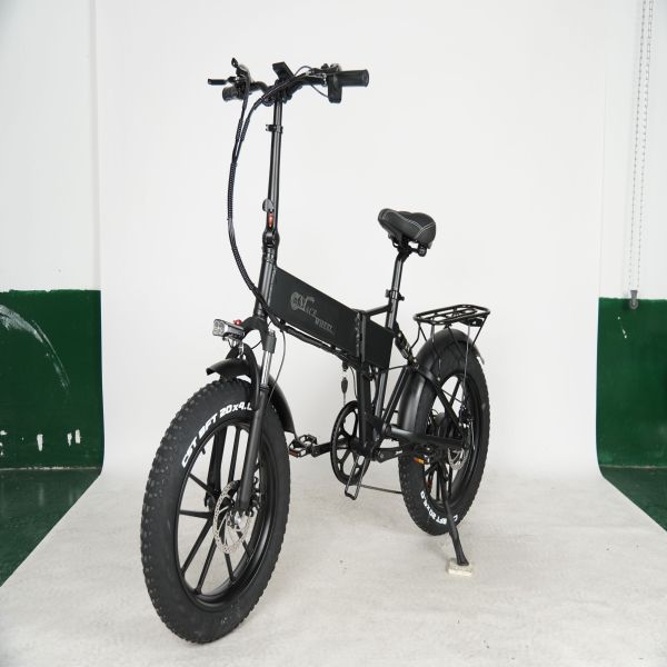 Europe Shipping 750W Dual Motor Electric Bicycle  20 Inch Fat Tyre Bike Electric Bike 48V 17AH Ebike with Removable  Battery