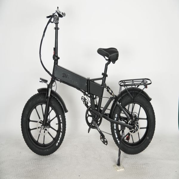 Europe Shipping 750W Dual Motor Electric Bicycle  20 Inch Fat Tyre Bike Electric Bike 48V 17AH Ebike with Removable  Battery