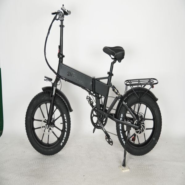 Europe Shipping 750W Dual Motor Electric Bicycle  20 Inch Fat Tyre Bike Electric Bike 48V 17AH Ebike with Removable  Battery