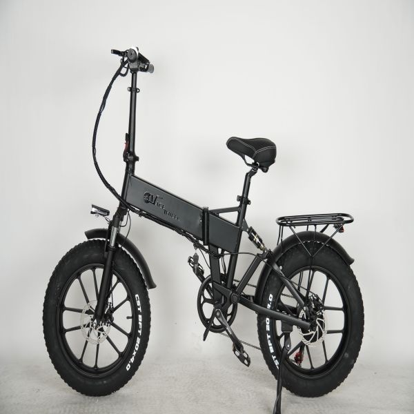 Europe Shipping 750W Dual Motor Electric Bicycle  20 Inch Fat Tyre Bike Electric Bike 48V 17AH Ebike with Removable  Battery