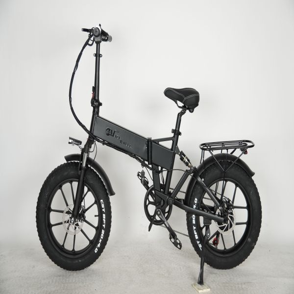 Europe Shipping 750W Dual Motor Electric Bicycle  20 Inch Fat Tyre Bike Electric Bike 48V 17AH Ebike with Removable  Battery