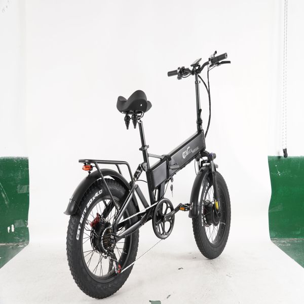 Europe Shipping 1500W Dual Motor Electric Bicycle  20 Inch Fat Tyre Bike Electric Bike 48V 17AH Ebike with Removable  Battery