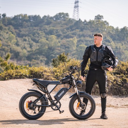 Chinese factory ships without free shipping to Newzland 20-Inch Mountain E-Bike for Adults Warehouse's 48V 250Watt 750W Snow Electric Bike Rear Hub Motor Fat Tire Dirt Ebike for Men - Image 5