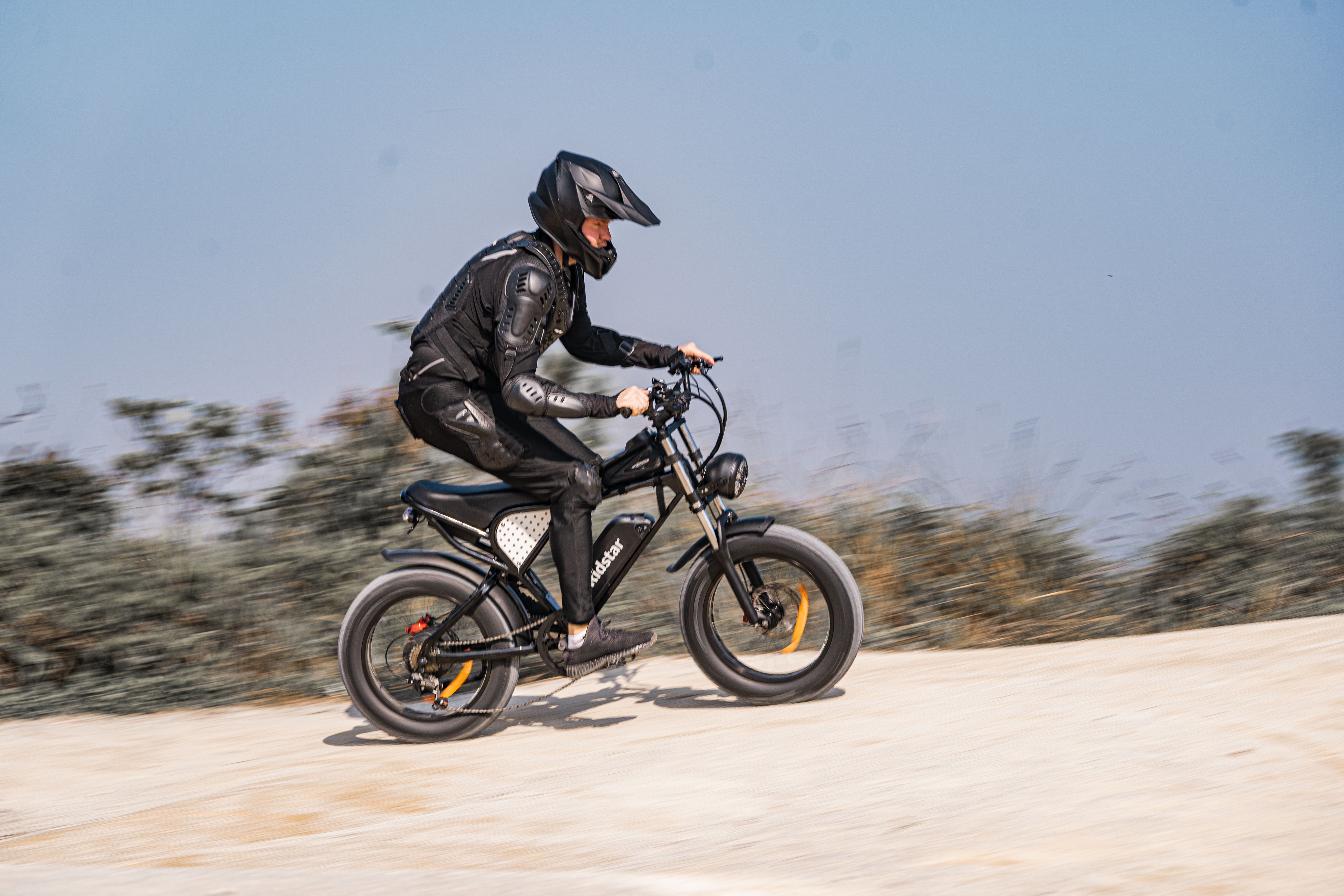 Chinese factory ships without free shipping to Newzland 20-Inch Mountain E-Bike for Adults Warehouse