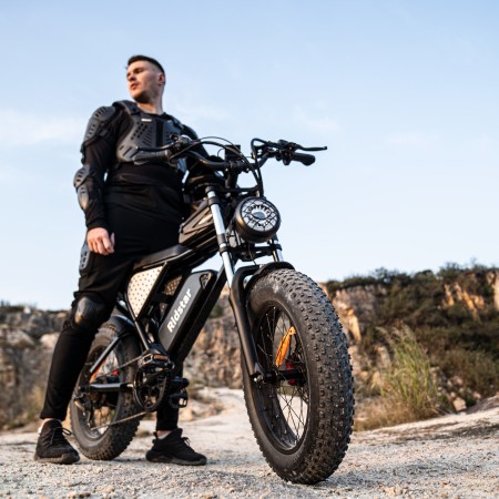 Chinese factory ships without free shipping to Newzland 20-Inch Mountain E-Bike for Adults Warehouse's 48V 250Watt 750W Snow Electric Bike Rear Hub Motor Fat Tire Dirt Ebike for Men - Image 7