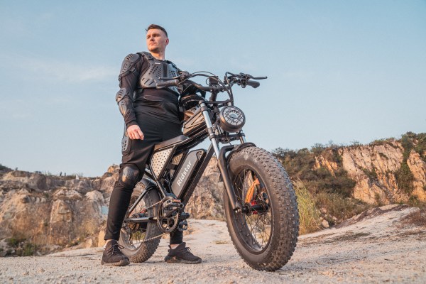 Chinese factory ships without free shipping to Newzland 20-Inch Mountain E-Bike for Adults Warehouse's 48V 250Watt 750W Snow Electric Bike Rear Hub Motor Fat Tire Dirt Ebike for Men