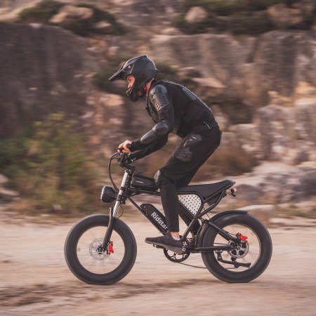 Chinese factory ships without free shipping to Newzland 20-Inch Mountain E-Bike for Adults Warehouse's 48V 250Watt 750W Snow Electric Bike Rear Hub Motor Fat Tire Dirt Ebike for Men - Image 9