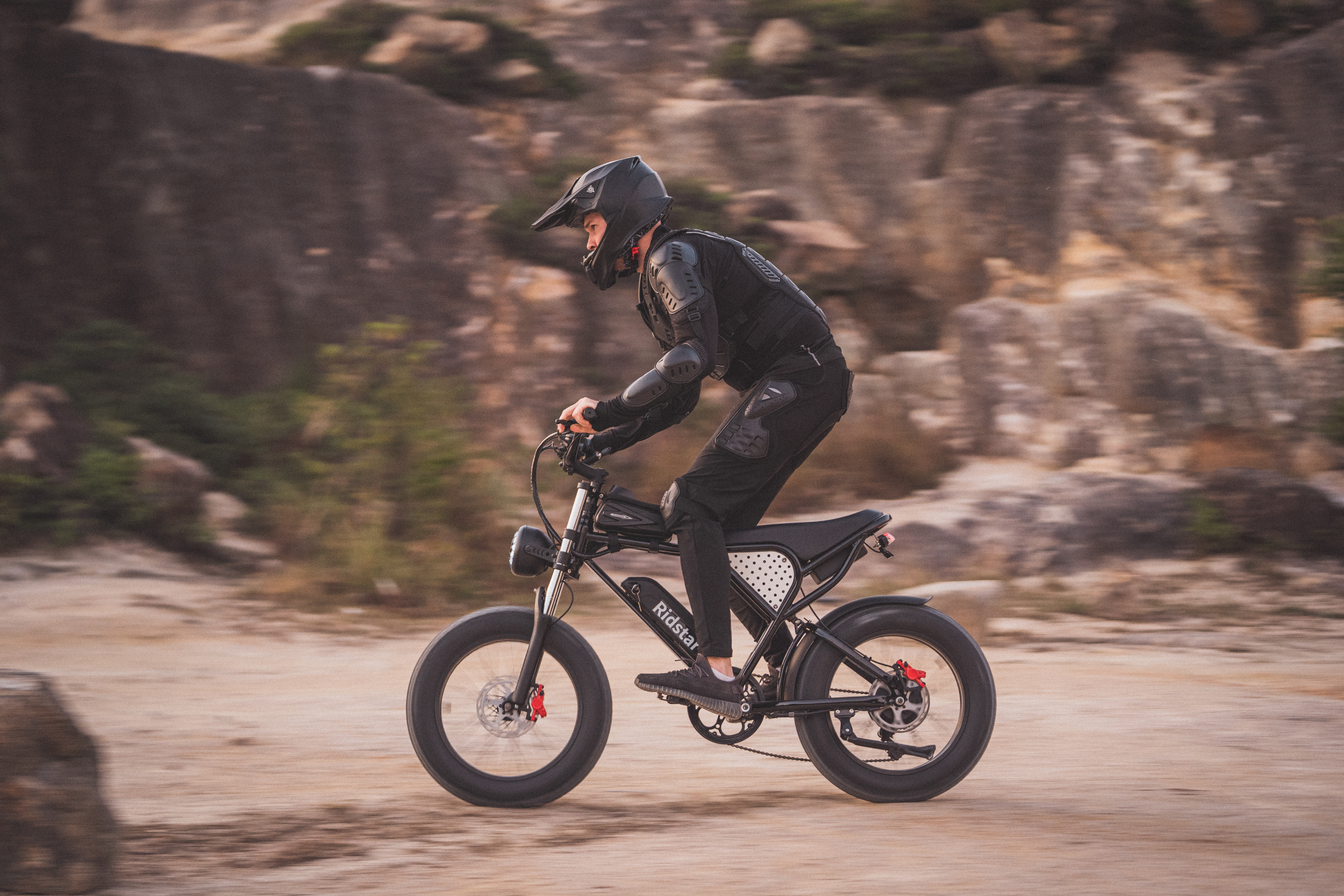 Chinese factory ships without free shipping to Newzland 20-Inch Mountain E-Bike for Adults Warehouse