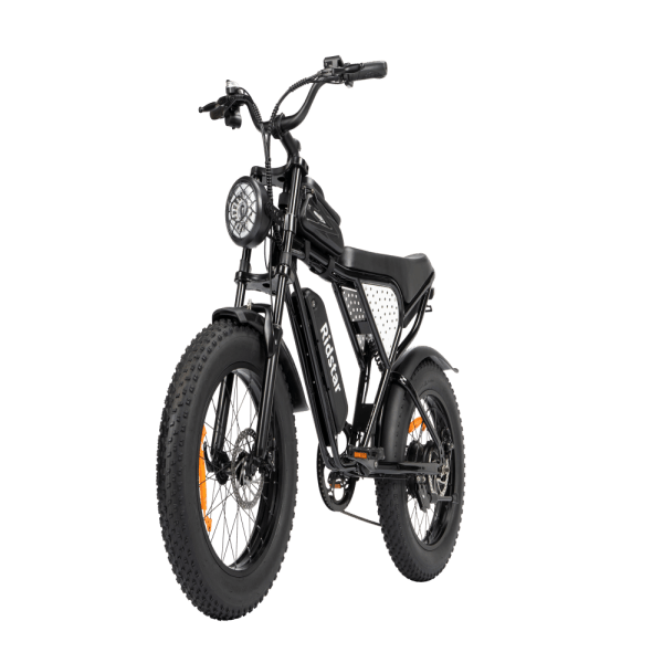 Chinese factory ships without free shipping to Newzland 20-Inch Mountain E-Bike for Adults Warehouse's 48V 250Watt 750W Snow Electric Bike Rear Hub Motor Fat Tire Dirt Ebike for Men