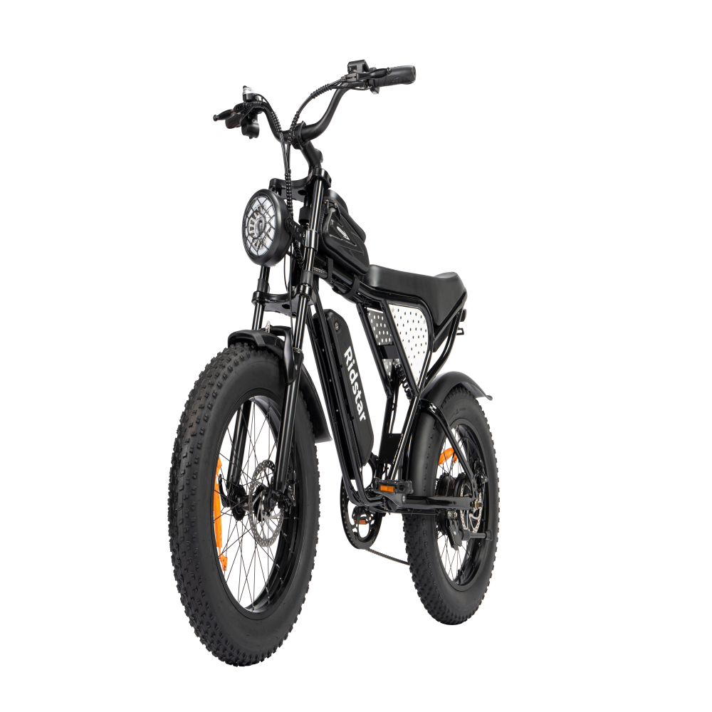 Chinese factory ships without free shipping to Newzland 20-Inch Mountain E-Bike for Adults Warehouse