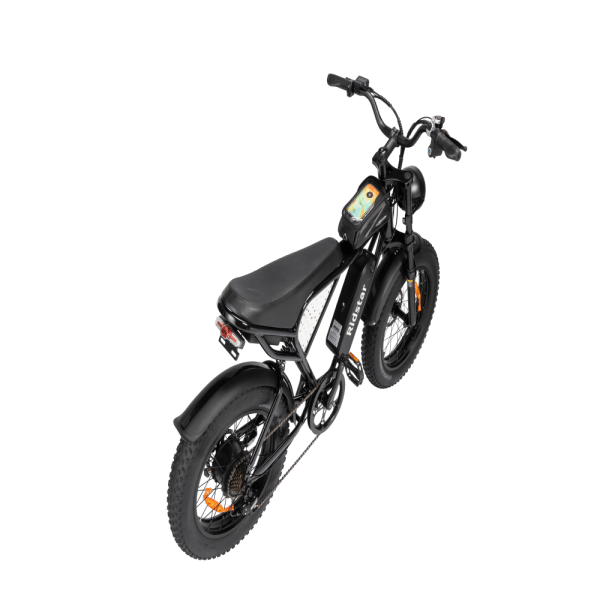 Chinese factory ships without free shipping to Newzland 20-Inch Mountain E-Bike for Adults Warehouse's 48V 250Watt 750W Snow Electric Bike Rear Hub Motor Fat Tire Dirt Ebike for Men