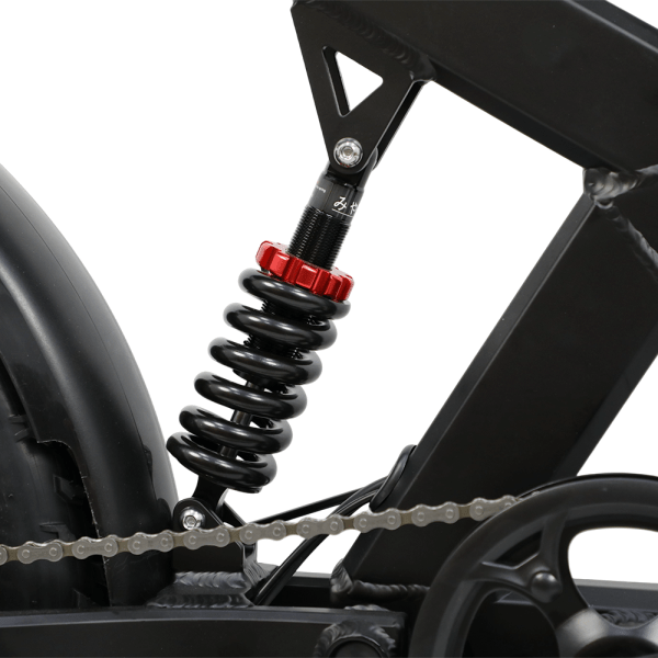 For DUOTTS Electric Bike Europe Stock Full Suspension 20-Inch Fat Tire 750W Rear Hub Motor 52V 27AH Oil Brake Electric Bic